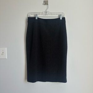 Ann Taylor Skirt
